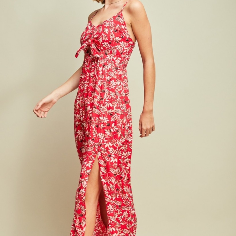 The Tulles Maxi Dress